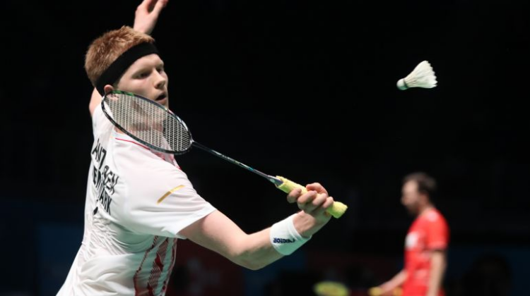 多样性和个 多样性和个